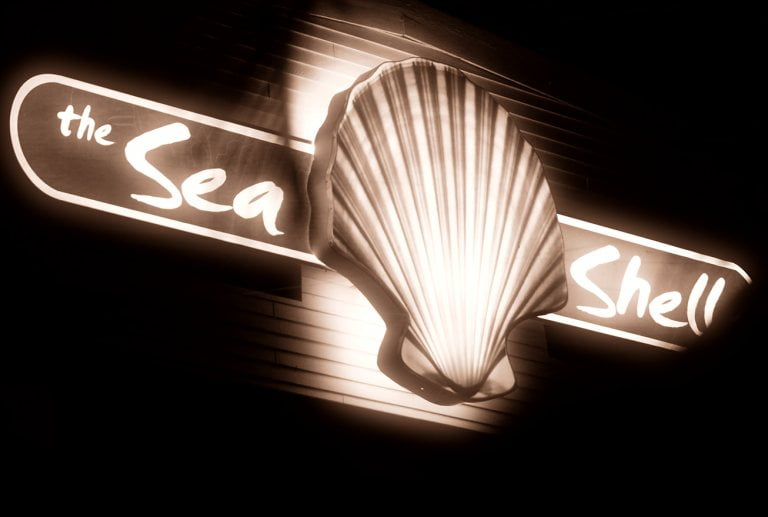Sea Shell