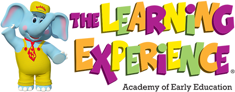 The Learning Experience