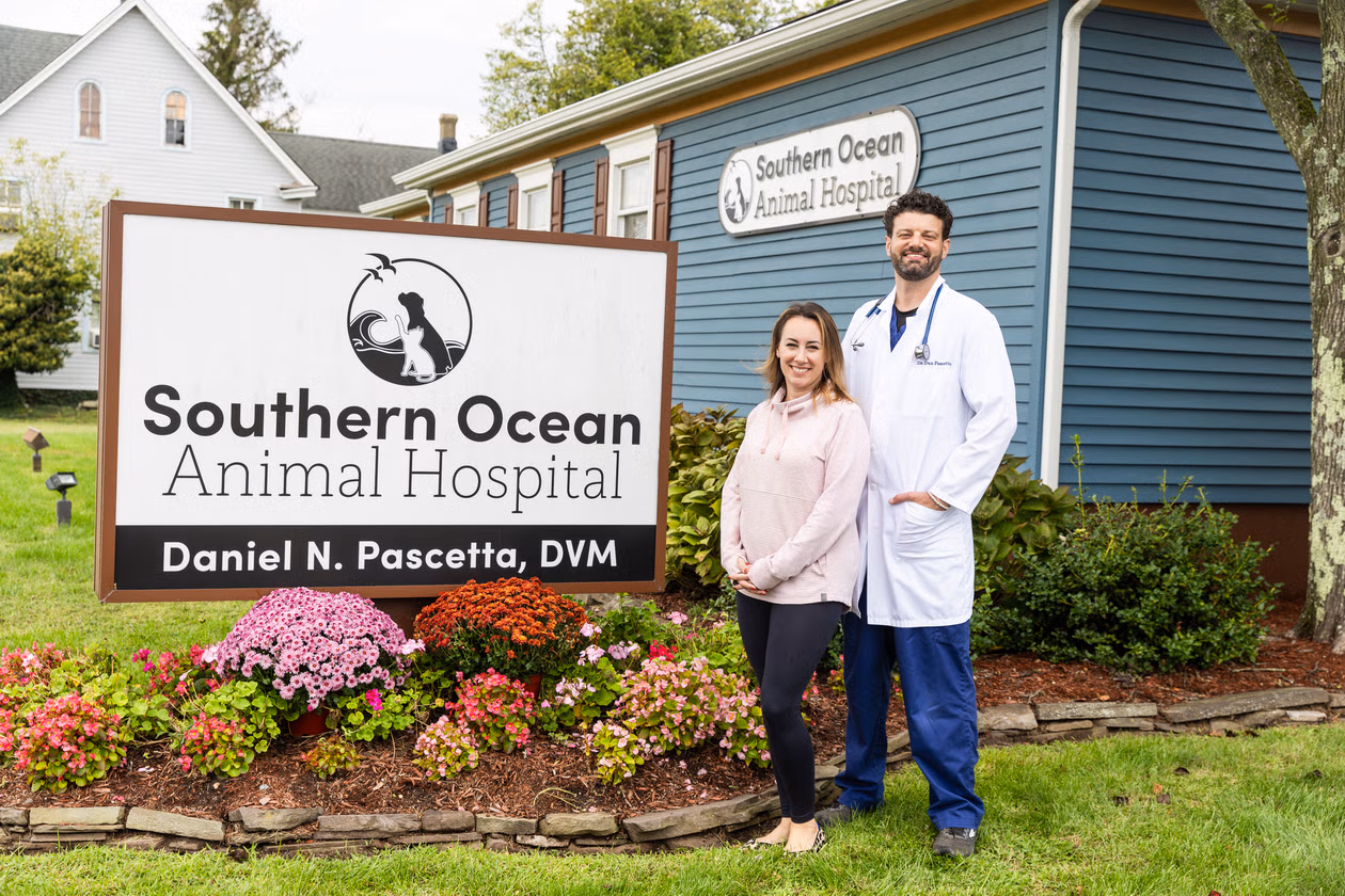 Dr. Daniel and Megan Pascetta